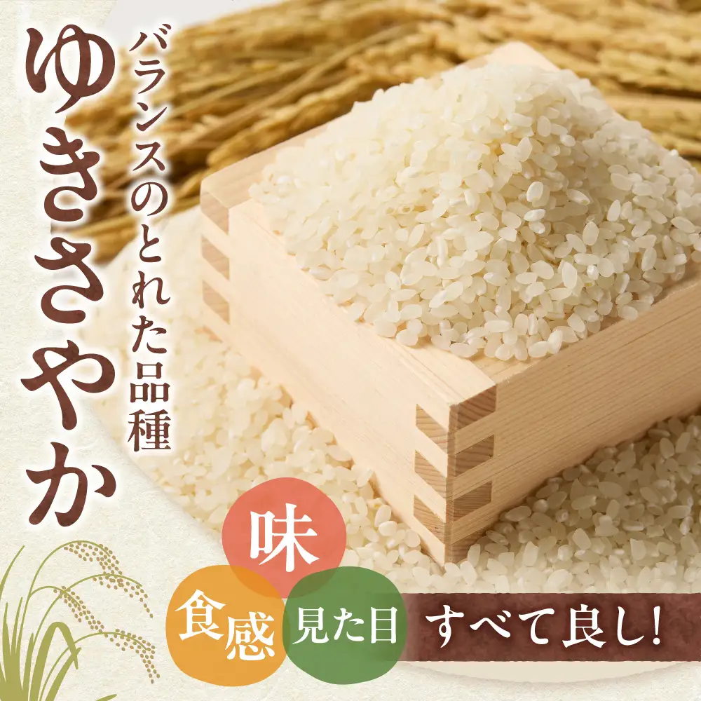 【令和8年度産米】精米ゆきさやか5kg | 北海道産米 精米 白米 米 ブランド米 北海道 当別町
