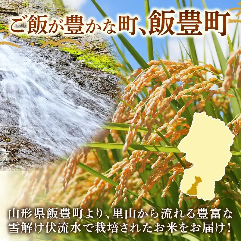 人気のブランド米 つや姫 玄米 10kg（飯豊町産）【R8年産】 - 山形県 特別栽培米 玄米ごはん ブランド米  田園サービスいいで