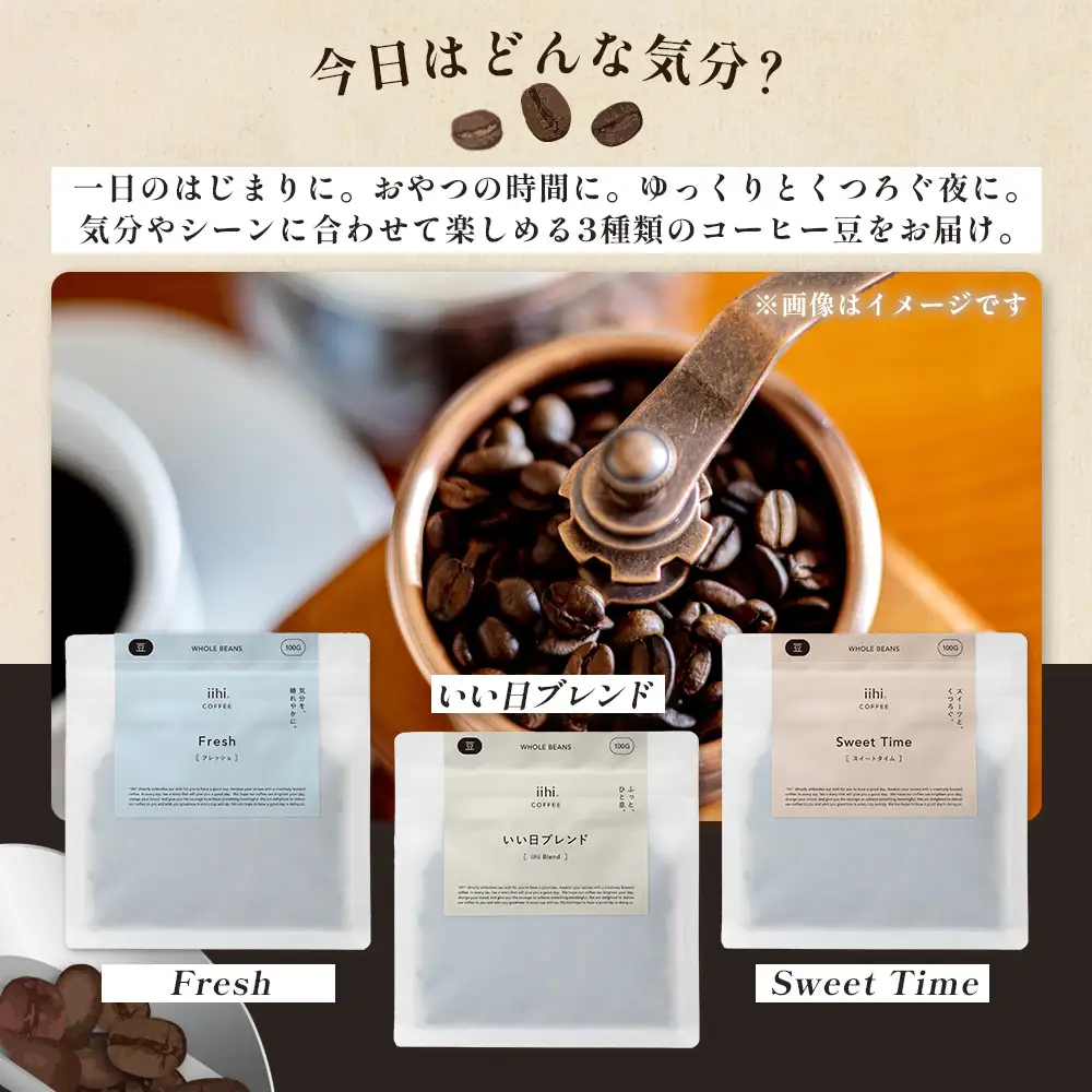 【ふるさとロースターが焙煎したてをお届け！】iihiコーヒー コーヒー豆 100g×3P セット 常温｜コーヒー 珈琲 コーヒー豆 ブレンドコーヒー 自家焙煎 詰め合わせ 飲み比べ 中深煎り 焙煎 ギフト プレゼント NORM&HANCE株式会社 宮崎県 諸塚村 NH-04