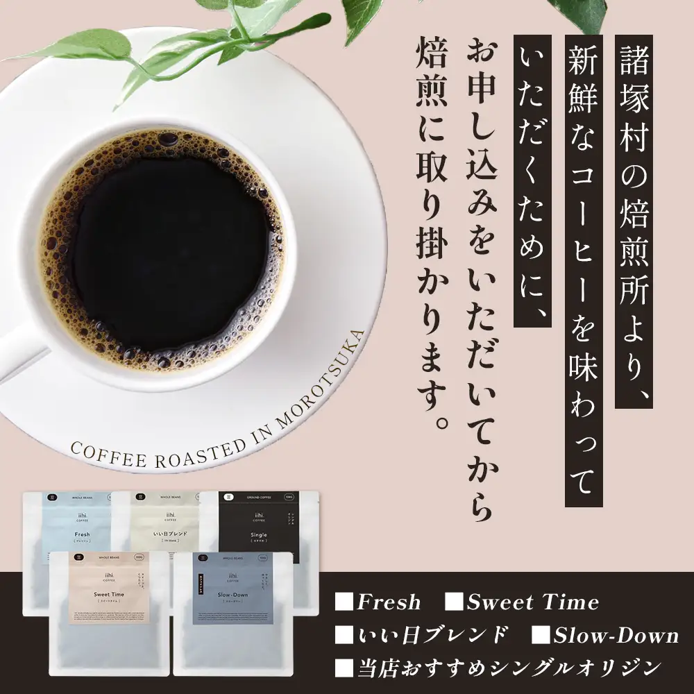 【ふるさとロースターが焙煎したてをお届け！】iihiコーヒー コーヒー豆 100g×10P セット 常温｜コーヒー 珈琲 コーヒー豆 ブレンドコーヒー 自家焙煎 詰め合わせ 飲み比べ 中深煎り 焙煎 ギフト プレゼント デカフェ ノンカフェイン NORM&HANCE株式会社 宮崎県 諸塚村 NH-06