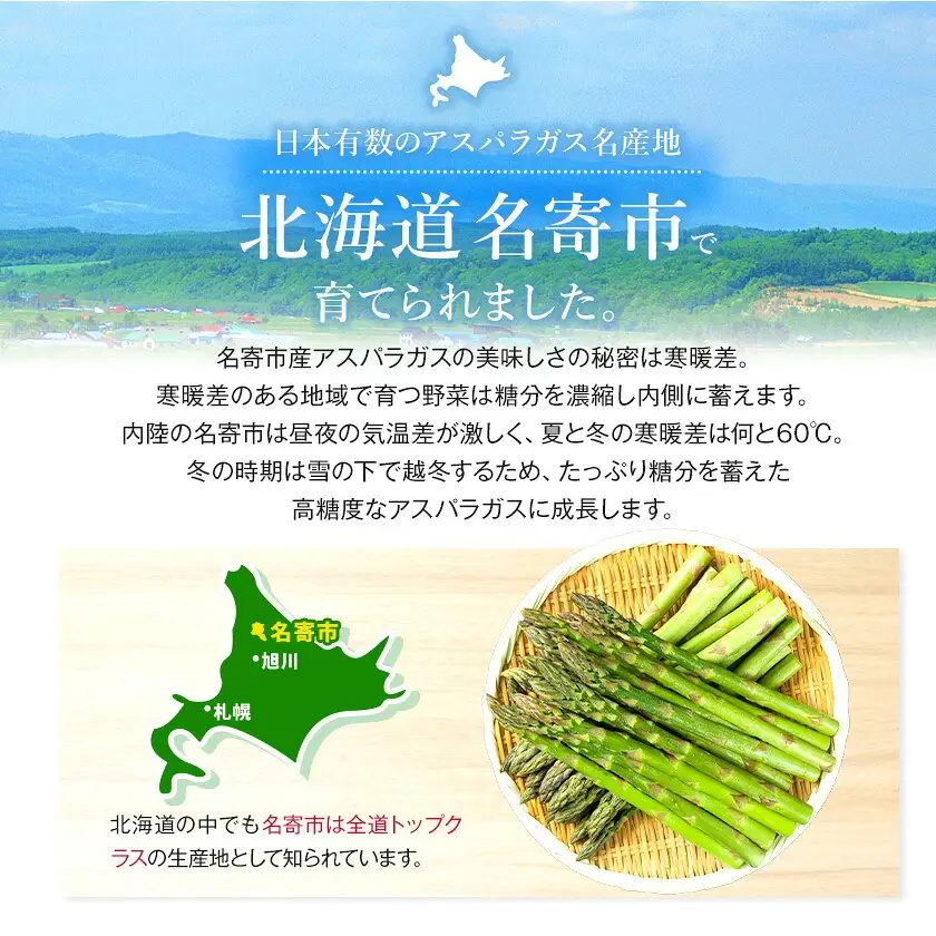 【TVで紹介！】アスパラ 北海道 アスパラガス 2Lサイズ(1.6kg)