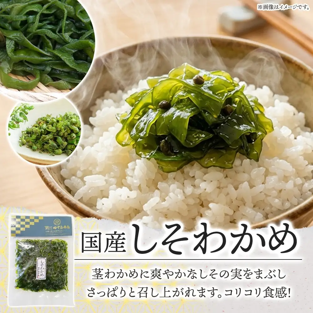 ご飯のお供 つくだ煮2種セット しそわかめ しそ昆布 各2袋 田中屋本店佃煮 わかめ 国産 茎わかめ 昆布 しそ 紫蘇 ご飯のお供 おにぎり お茶漬け 惣菜 おかず 和食 トッピング サラダ 老舗 ギフト 贈り物 朝食 弁当 おつまみ 小田原市 神奈川県