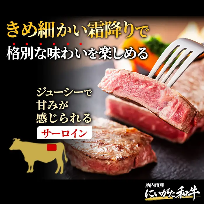 71-Nにいがた和牛 サーロインステーキ 500g（250g×2枚）