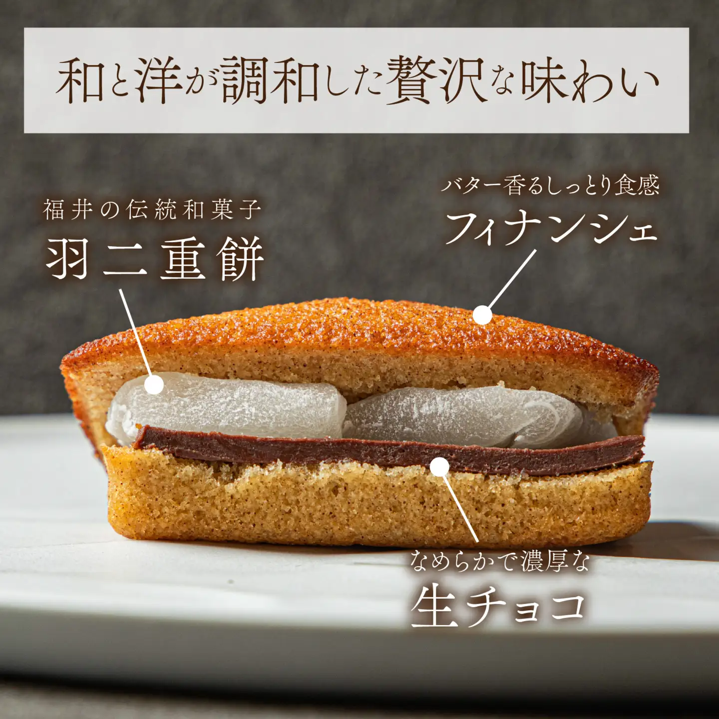 羽二重生チョコフィナンシェ [A-094011] | 焼き菓子
