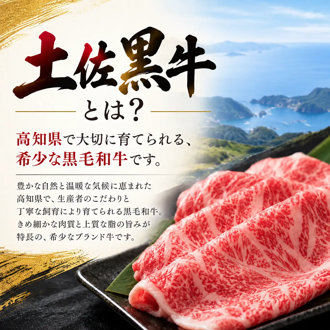 【土佐田島黒牛】カイノミステーキ 200g 牛肉 | 黒毛和牛 カイノミ ステーキ肉