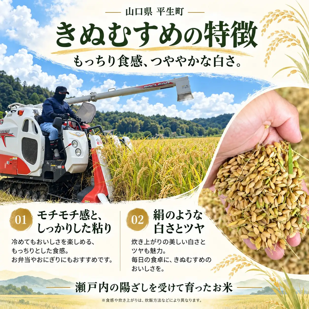 令和8年度産 山口県産 きぬむすめ 2㎏ 定期便 2回発送