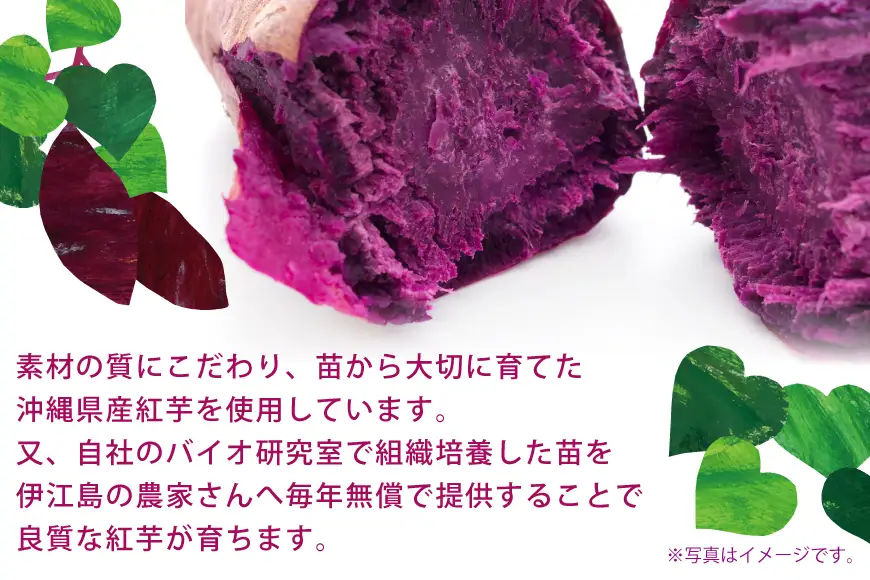 芋 スイーツ べにいもたると 6個 4箱 計24個