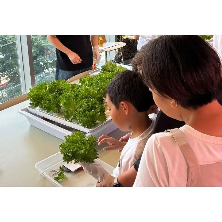 【11/3(火・祝)開催】FARM HANEDA見学会チケット 見学 収穫 体験 体験チケット 植物工場 野菜 栽培 レタス ラディッシュ サラダホウレンソウ 大田区 東京都