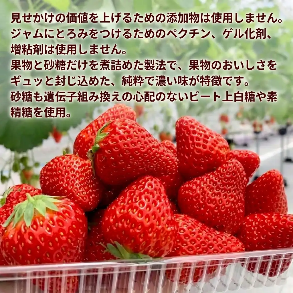 いちごジャムシロップ詰合せ イチゴ 苺 フルーツ スイーツ ストロベリー ジャム シロップ 甘い プレゼント ギフト おすすめ 贈答 富山県黒部市