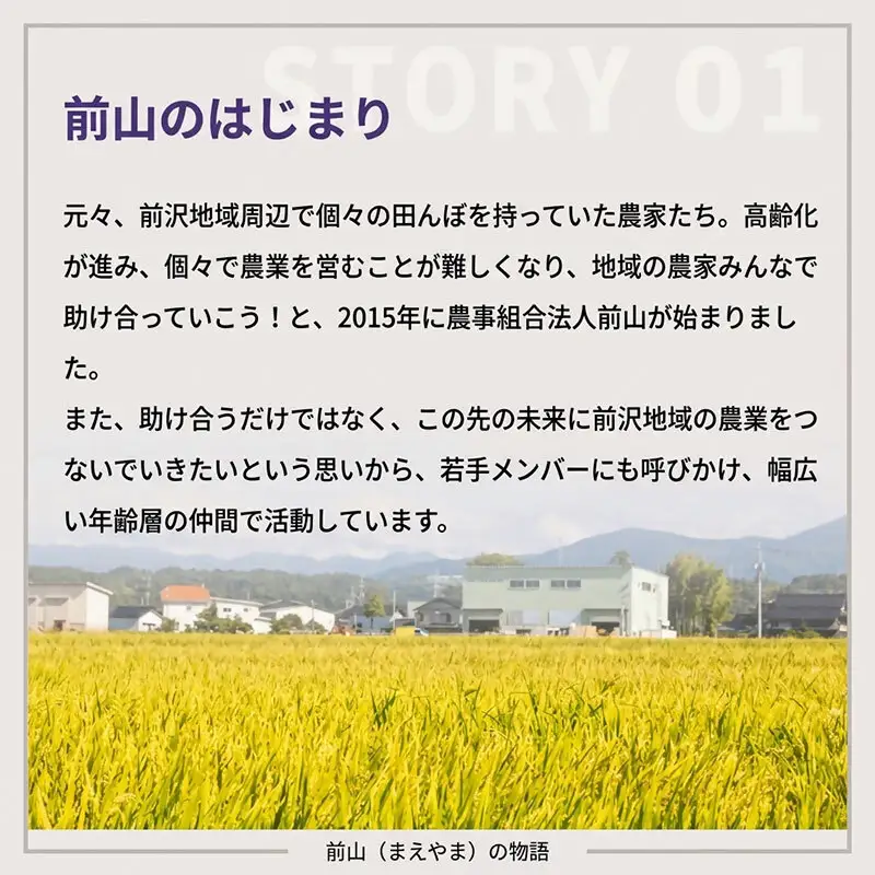 黒部市産米 富富富 おこげ煎餅 12袋 箱入り せんべい スナック 和菓子 米 贈答 ギフト おかし お菓子 富山県 黒部市
