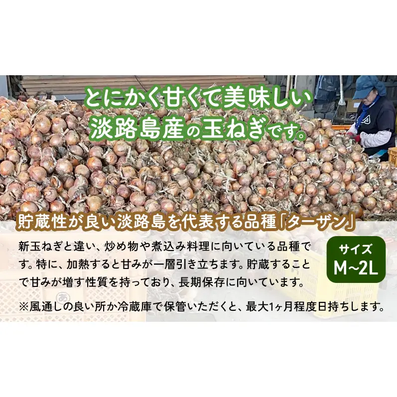 ターザン 淡路島産貯蔵用玉ねぎ 10kg たまねぎ タマネギ 玉葱 野菜