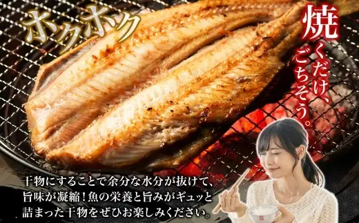干物詰め合わせ 計7尾セット （ あじ開き × 2尾 ・ ほっけ開き × 3尾 ・ 金目鯛開き × 2尾 ） 魚 魚介類 海鮮 おかず おつまみ 晩酌 酒の肴 食べ比べ 冷凍