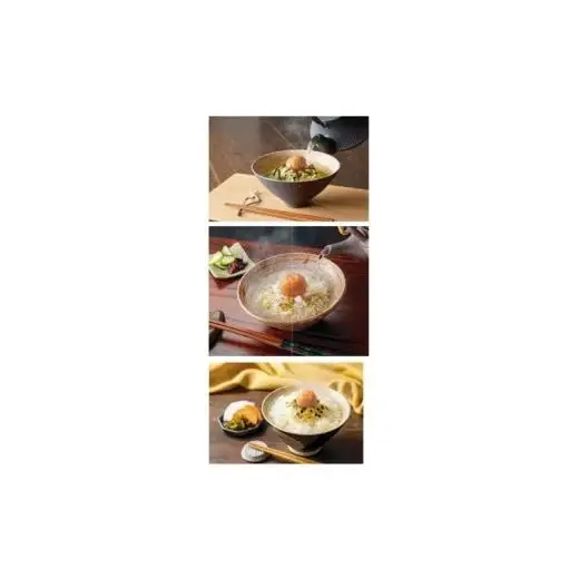 N009 勝喜梅　贅沢茶漬け３種詰合せ（紀州南高梅添え６袋セット）