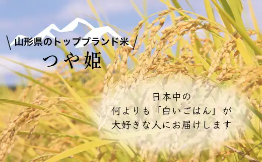 【令和８年産 新米】山形県小国町産 つや姫10kg　小国地産