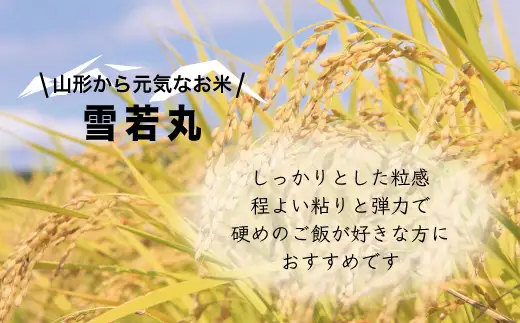 【令和８年産 新米】山形県小国町産 雪若丸10kg　小国地産