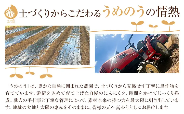 黒にんにく 100g うめのう《30日以内に出荷予定(土日祝除く)》