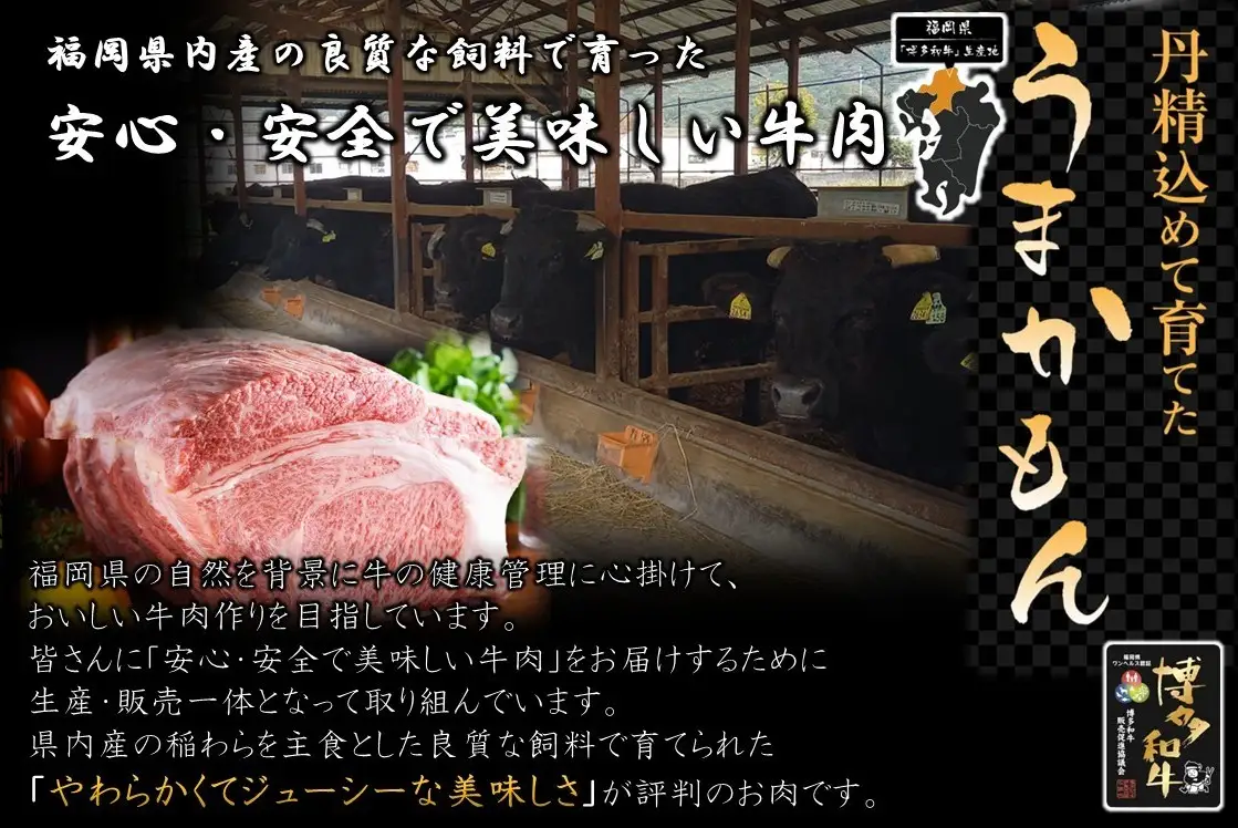 博多和牛 ローススライス400g【JA全農ミートフーズ】[H0189]