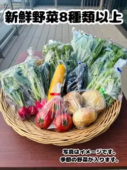 道の駅レスティ唐古・鍵 旬の新鮮野菜8種類以上詰合せ ！！ (野菜8種類以上) 道の駅 奈良県産 季節 詰め合わせ 生鮮食品 旬 新鮮 野菜 奈良県 【tm-BB004】【道の駅レスティ唐古・鍵】