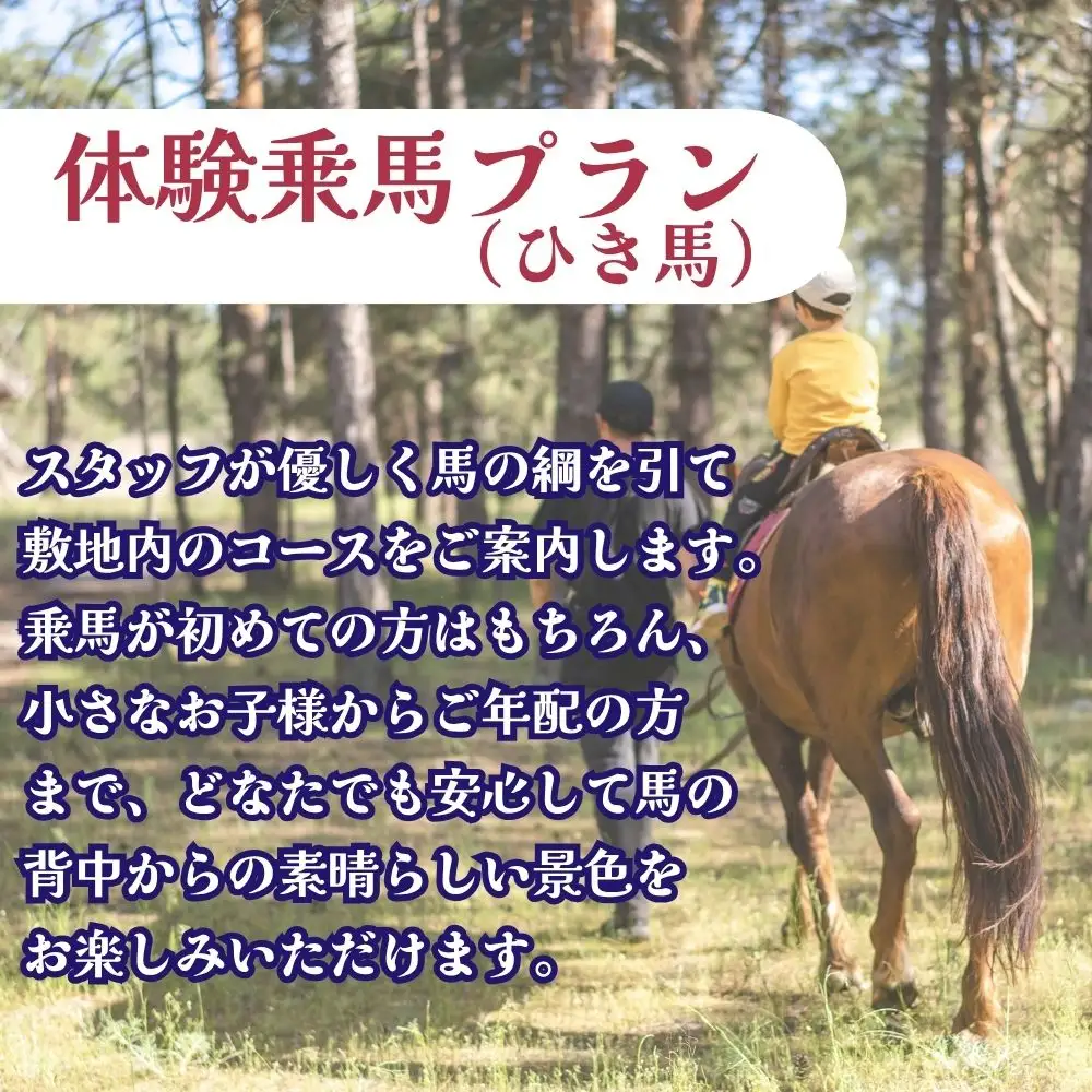 【ふるさと納税】 乗馬体験（ひき馬）1回分 北海道安平町〈早来エクワインファーム〉馬 サラブレッド ポニー 競馬 馬術 体験