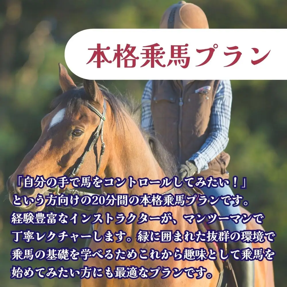 【ふるさと納税】  本格乗馬体験  1回分 北海道安平町〈早来エクワインファーム〉馬 サラブレッド ポニー 競馬 馬術 体験