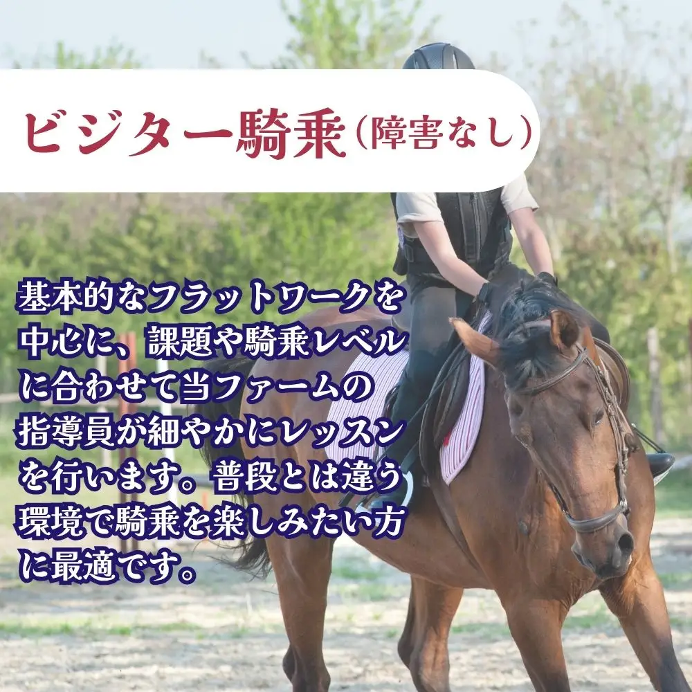 【ふるさと納税】ビジター騎乗 ＜障害なし＞  1回分 北海道安平町〈早来エクワインファーム〉馬 サラブレッド ポニー 競馬 馬術 体験
