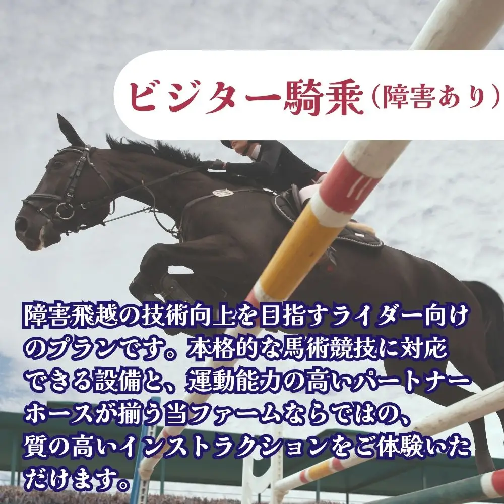【ふるさと納税】ビジター騎乗 ＜障害あり＞  1回分 北海道安平町〈早来エクワインファーム〉馬 サラブレッド ポニー 競馬 馬術 体験