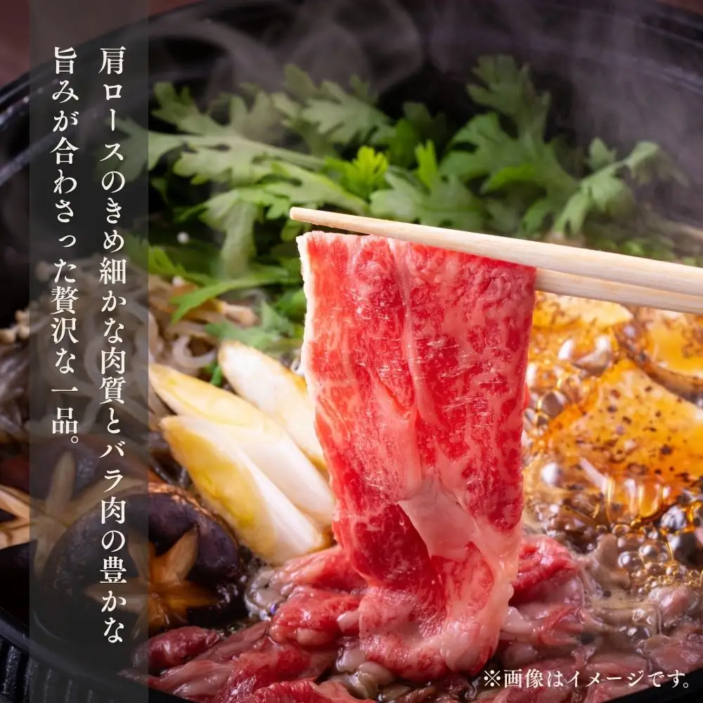 A4ランク博多和牛肩ロース/バラすき焼き用スライス500g[H0203]