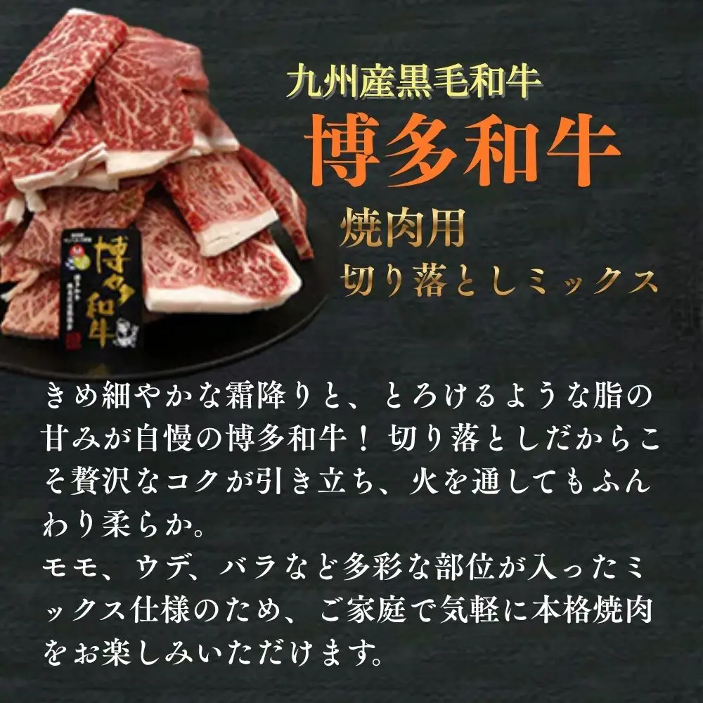 A4ランク博多和牛焼き肉用切り落とし1kg(500g×2P)[H0209]
