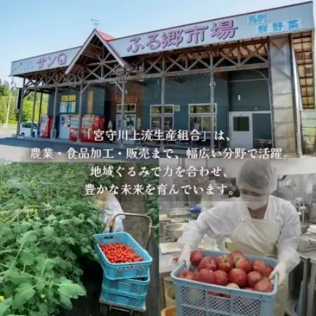 【山あいのおこめ】R8年産 あきたこまち 精米 10kg  宮守川上流生産組合【1786228】