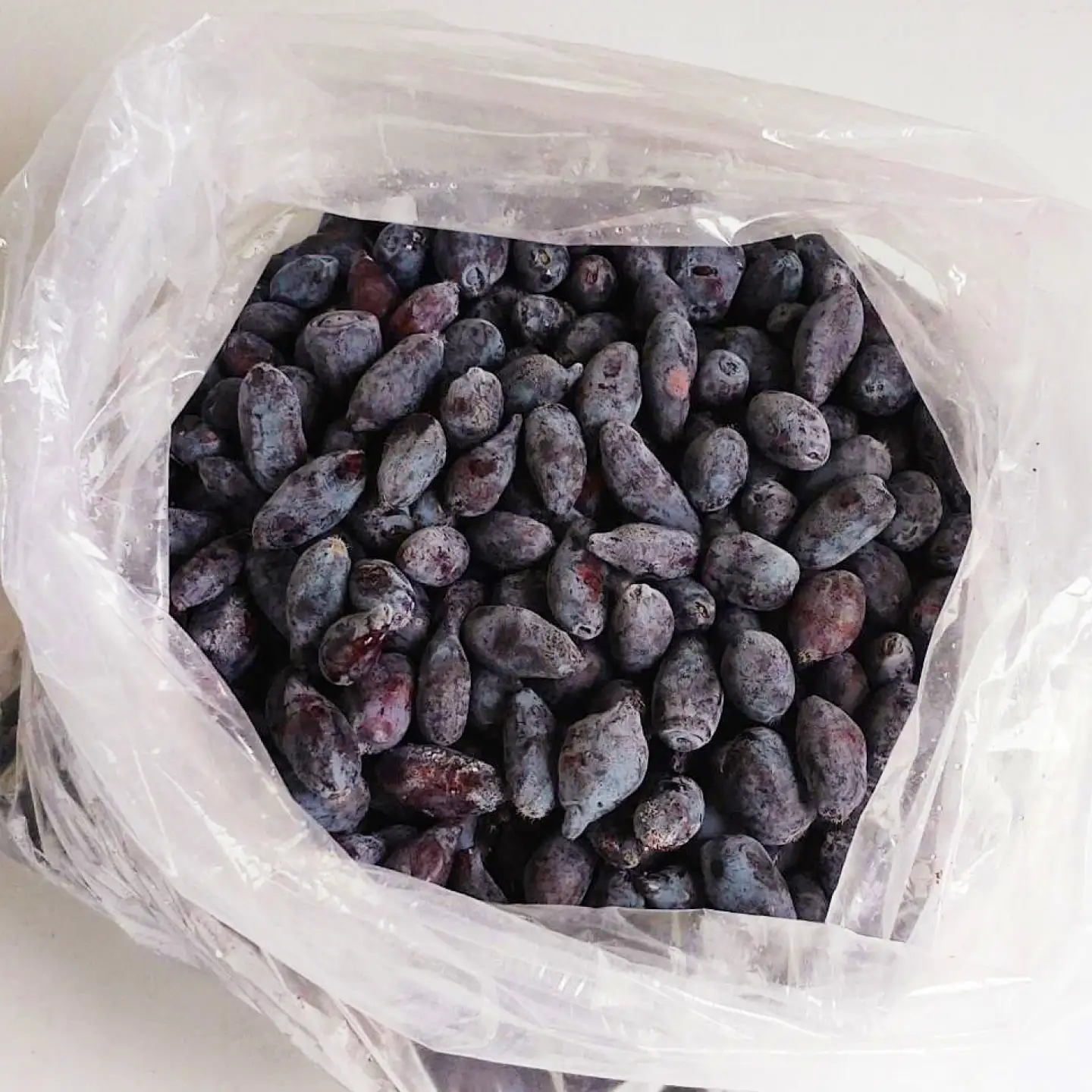 冷凍ハスカップ 計1kg（1kg×1袋）【松平農園】[AXCM001]