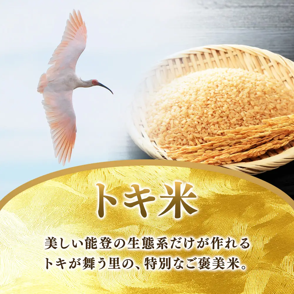 万行希望の丘農園 こしひかり 玄米 5kg｜米 玄米 能登 里山 里海 石川県 七尾市 能登半島
