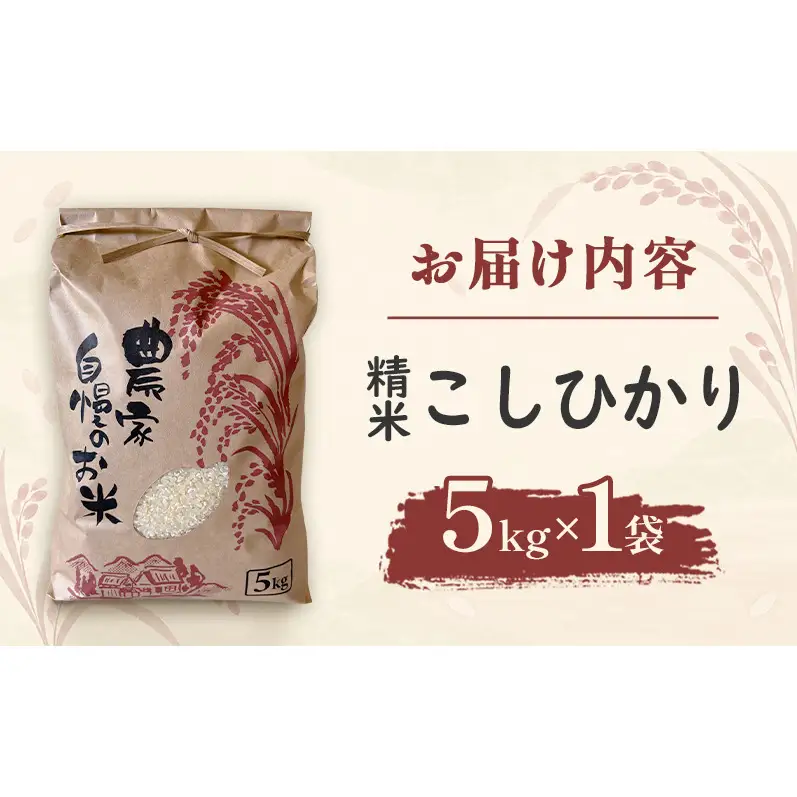 米 こしひかり5キロ(令和8年産) 若狭・天狗山農園 お米 こめ コメ 精米