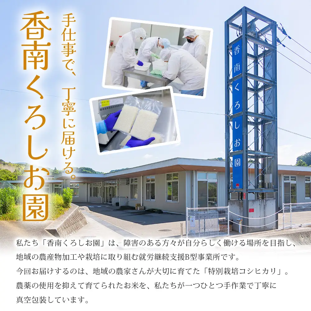 【令和８年度産】 米（コシヒカリ） 2合（300g) ×30 真空パック 小分け ke-0065
