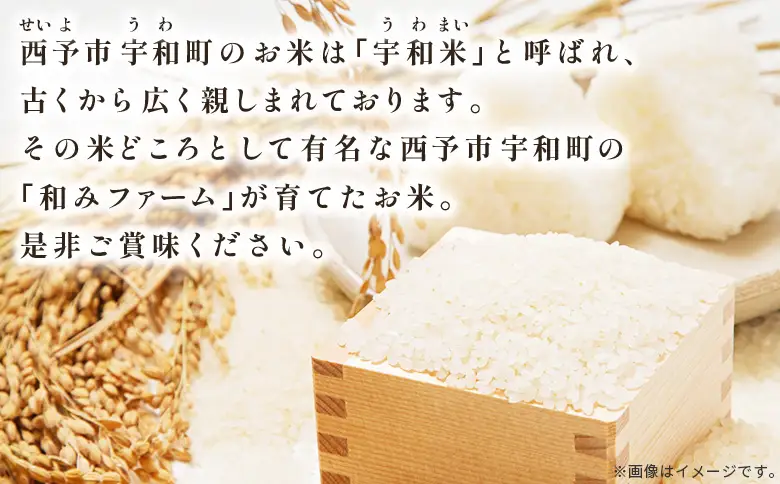 ＜令和8年産 愛媛県西予市産 ひめの凜 田んぼダム米 約5kg（定期便3回）＞『入金確認後、お申込み月の翌月より配送を開始します』 特産品 キロ ひめのりん 西予応援米 宇和米 お米 コメ こめ 白米 精米 米 国産 愛媛県産 和みファーム 愛媛県 西予市【常温】UWN0008