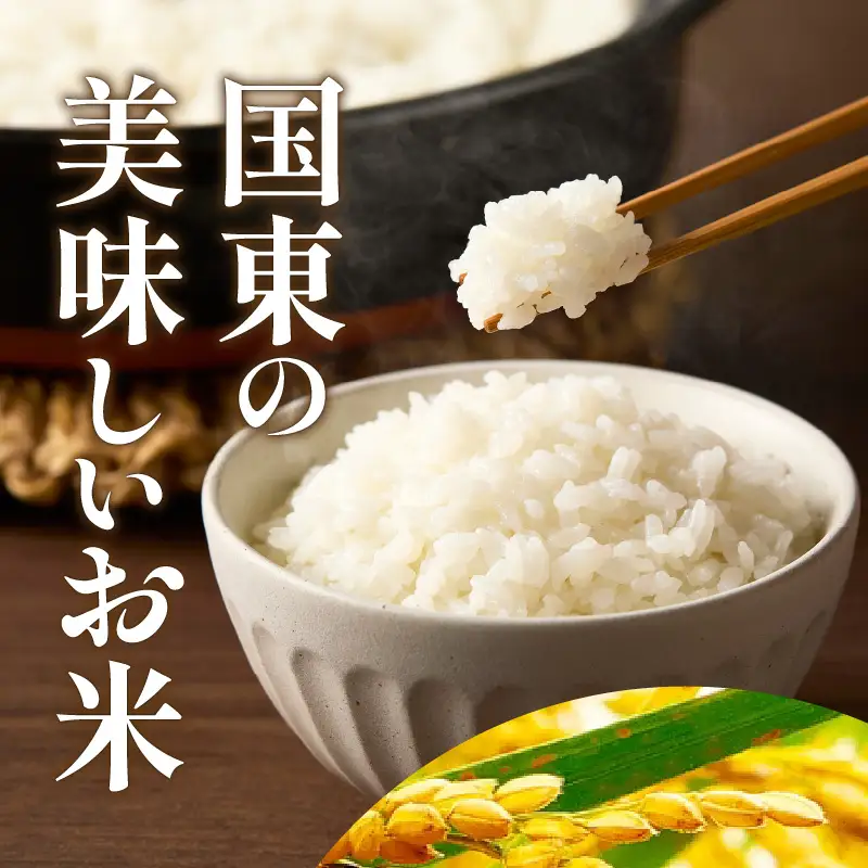 便利なチャック付き！国東産ひとめぼれ 令和8年産 新米 10kg (5kg×2袋)_2826R-2