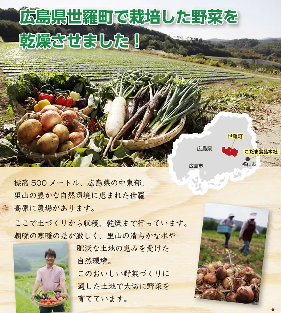 【定期便6カ月】 フリーズドライほうれん草 7g×5袋セット 《合計6回発送》 乾燥 時短 便利 野菜 緑黄色 A047-24