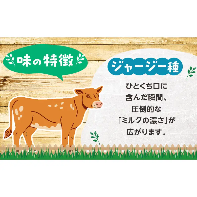 のむヨーグルト 生乳100%使用 500ml×3本 北海道産 ジャージー種 [i・ふぁーむ] 【 飲むヨーグルト 牧場直送 幕別 プレーン 濃厚 牛 朝食 】