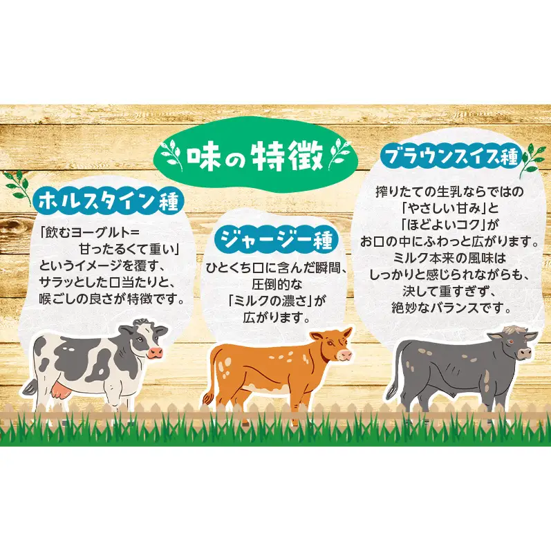 定期便 3ヵ月連続 全3回 のむヨーグルト 生乳100%使用 500ml×3本 北海道産 3種 飲み比べ ホルスタイン ジャージー ブラウンスイス [i・ふぁーむ] 【 飲むヨーグルト 牧場直送 幕別 プレーン 濃厚 牛 朝食 】