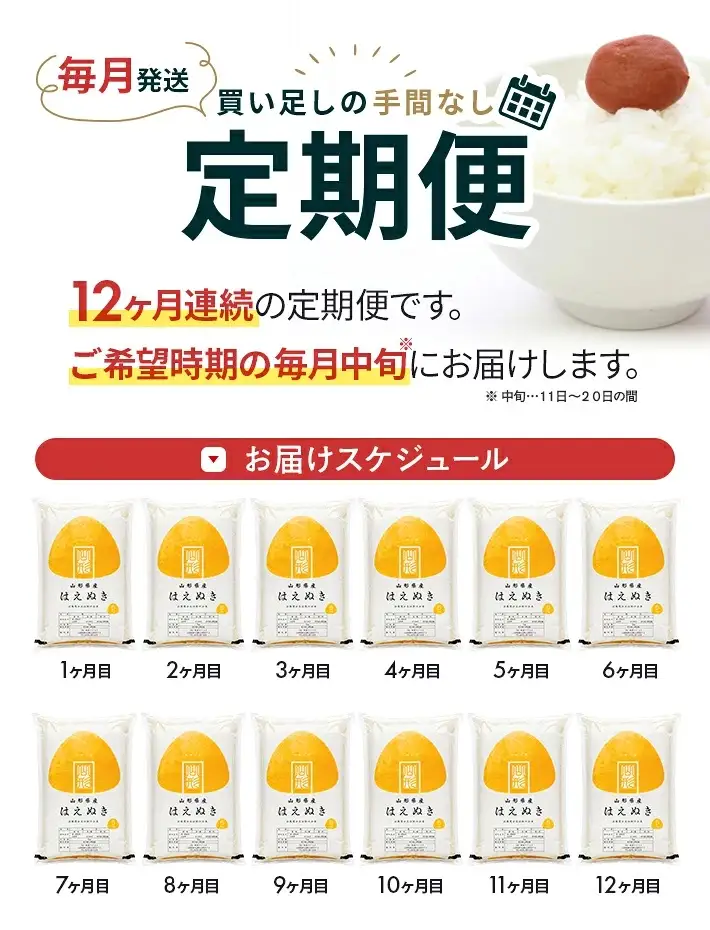 (12月～11月) ≪12ヶ月定期便≫ はえぬき 精米 5kg×12ヶ月連続 計60kg 山形県産 毎月中旬にお届け 東北 山形県 遊佐町 庄内地方 白米 [1772T12]