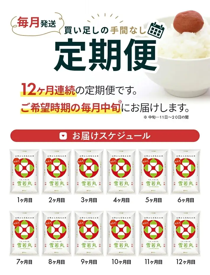 (11月～10月)≪12ヶ月定期便≫ 無洗米 雪若丸 5kg×12ヶ月連続 計60kg 山形県産 毎月中旬にお届け 東北 山形県 遊佐町 精米 白米 米 お米 ブランド米 ごはん ご飯 連続定期便 12回連続 小分け  [1773T11]