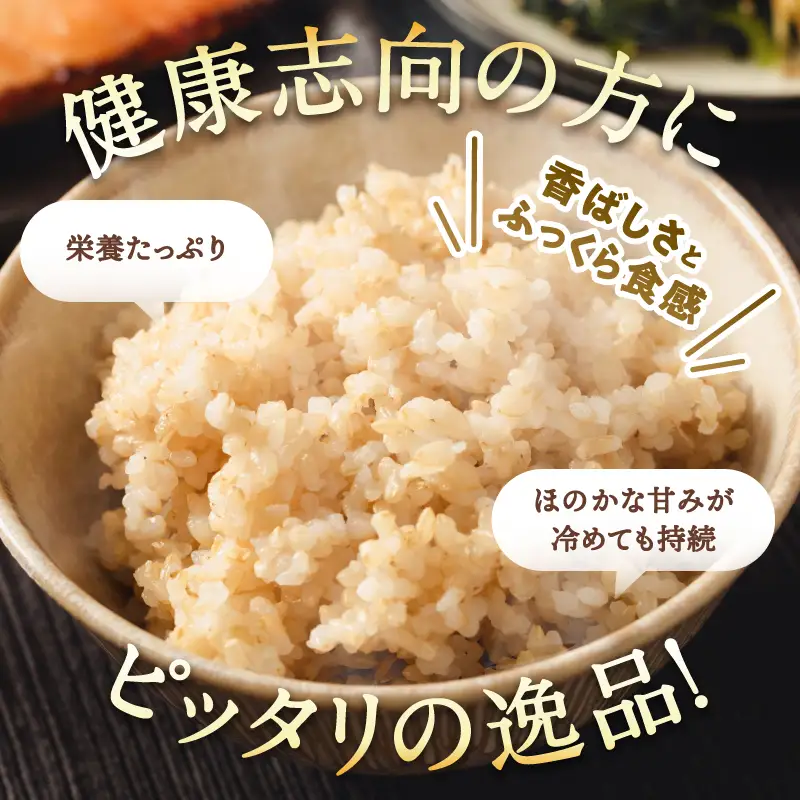 先行予約】【R8年度産】島根県江津市 きぬむすめ 玄米 5kg MG-5 新米