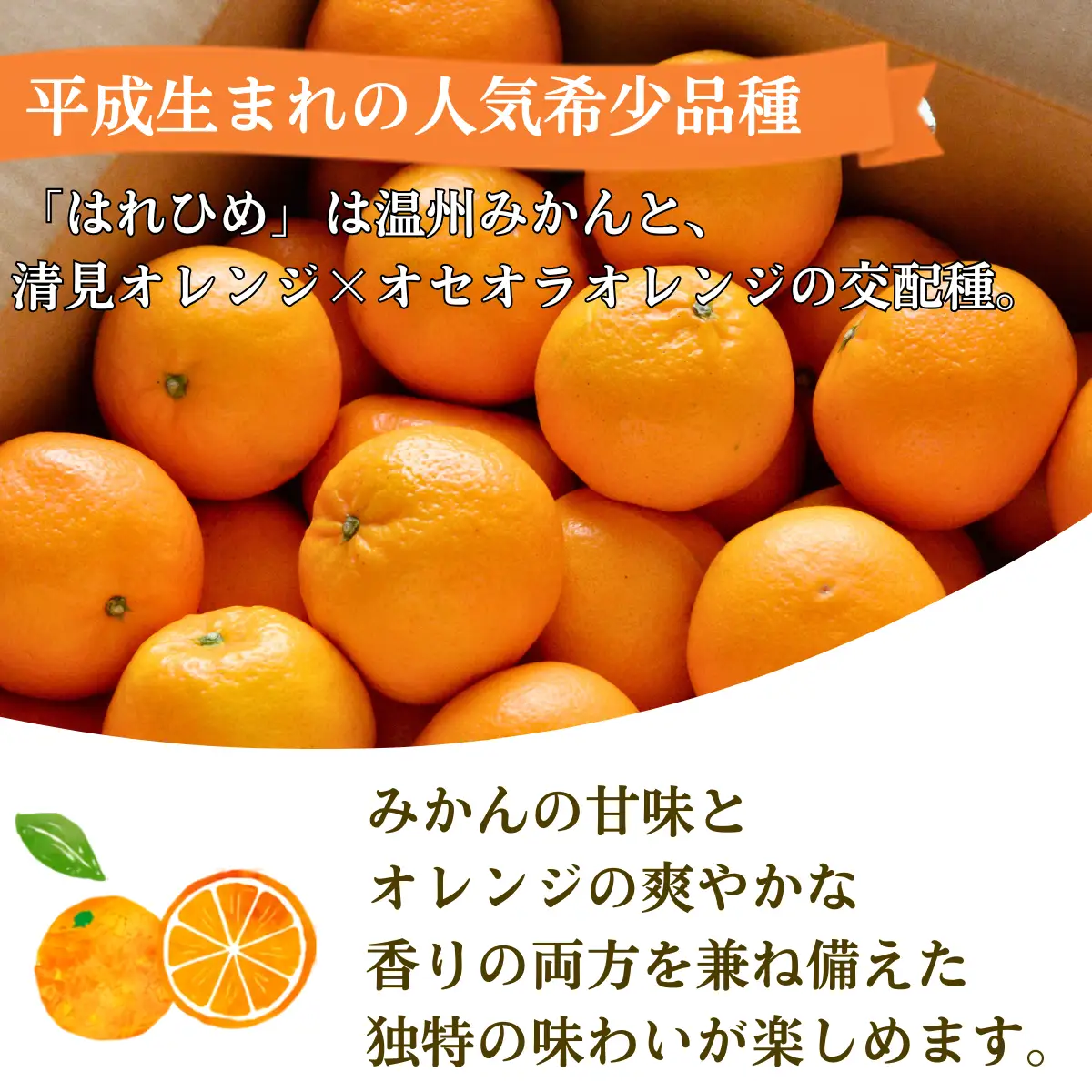 みかん 【先行受付】はれひめ 4kg 秀品 2L～S