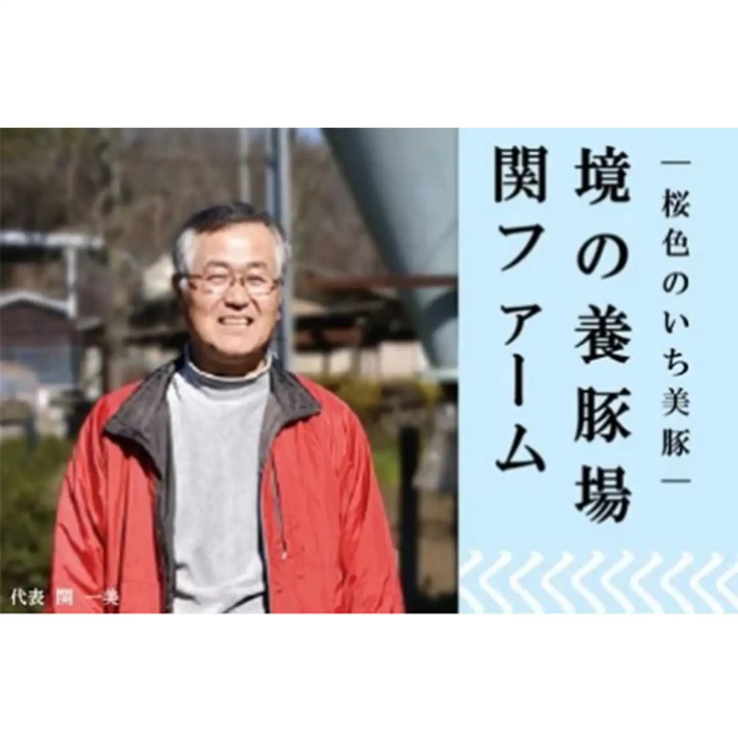 S280 小分けされて便利！茨城県産豚肉詰合せ2種1.2キロ！（200g×6パック）