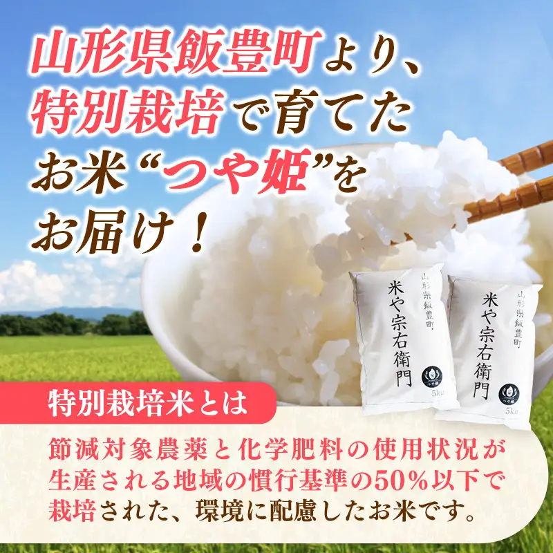 【R8年産米】つや姫 白米 10kg(5kg×2) - 米 ごはん ブランド米  山形県 飯豊町