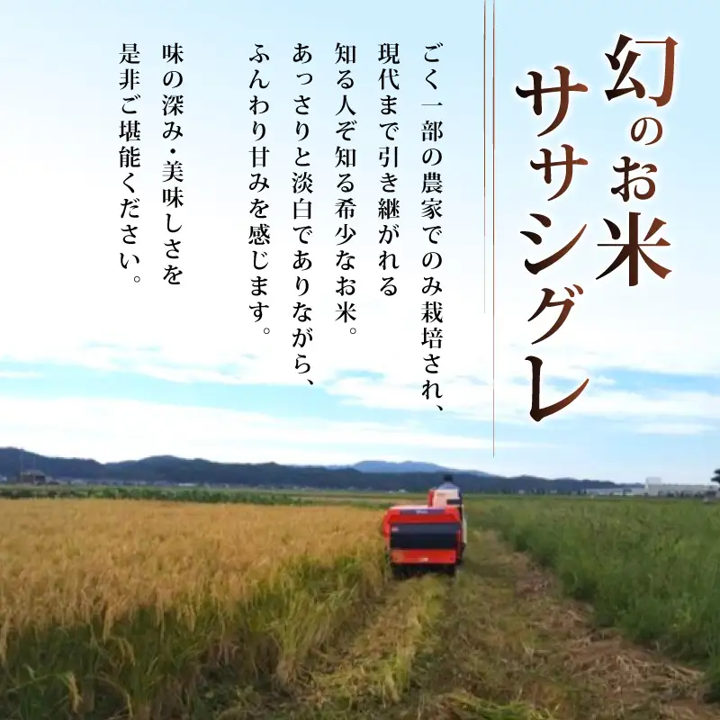 新米先行予約 玄米 ササシグレ 10kg 令和8年産 石川県米 玄米 【わこ菜園】WS002_r8