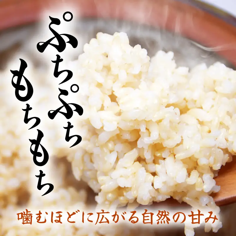 【玄米】定期便 ≪12ヶ月連続お届け≫コシヒカリ 令和8年産 玄米 5kg × 12回 (計60kg) 【長谷川農園】 [m22-k003]