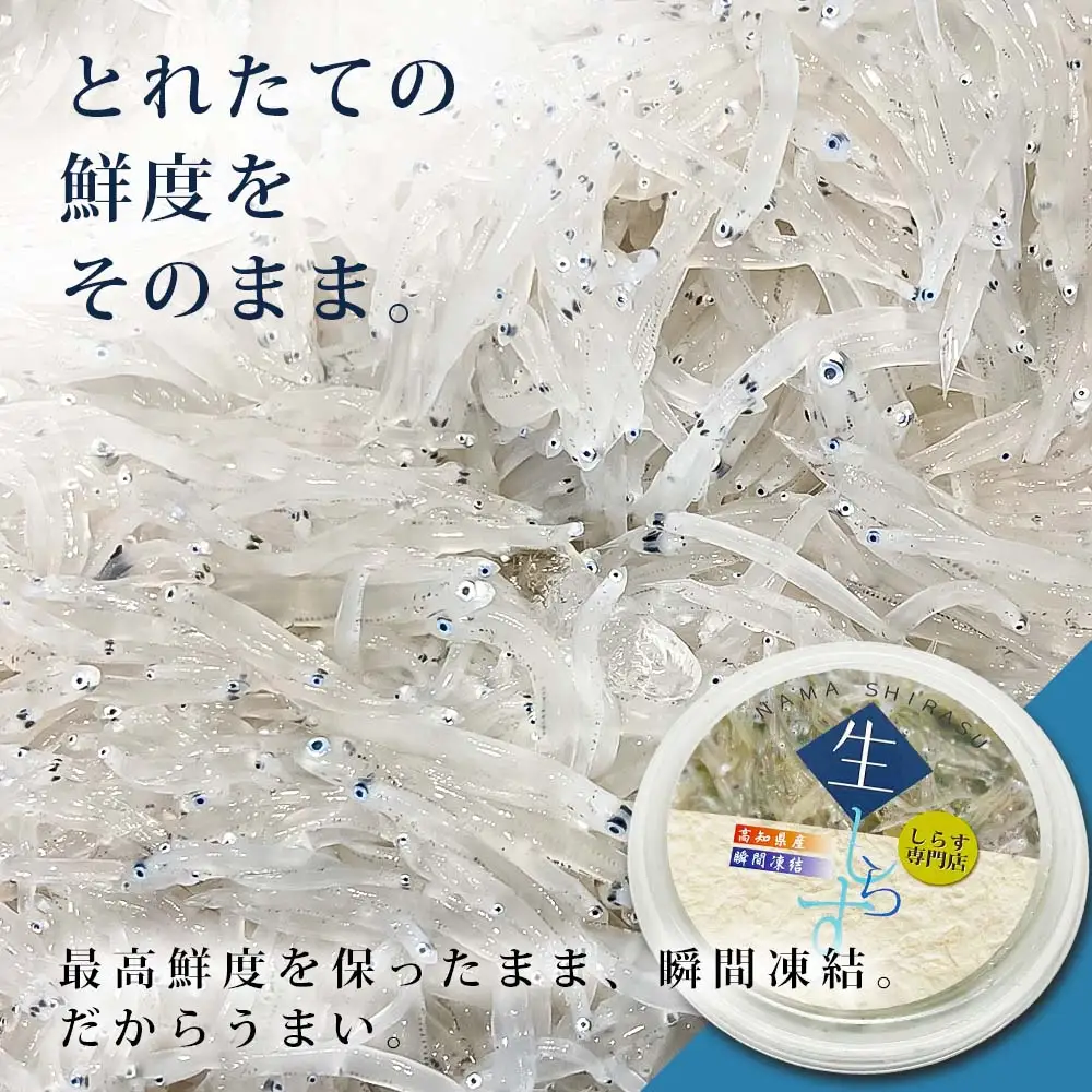 生しらす 70g×10P 特製ぽん酢 1本 シラス
