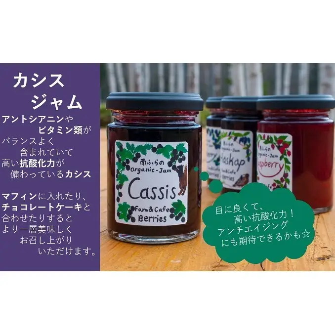 手作りジャムセット 【カシス】 2個 北海道 南富良野町 ジャム ベリー カシス ソース 果実