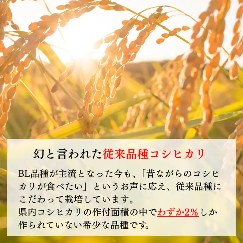 令和8年産 新潟県上越産 特別栽培米 コシヒカリ 15kg 15キロ（5kg×3） 【白米】 従来品種 こしひかり 新米 おおた農場 上越市