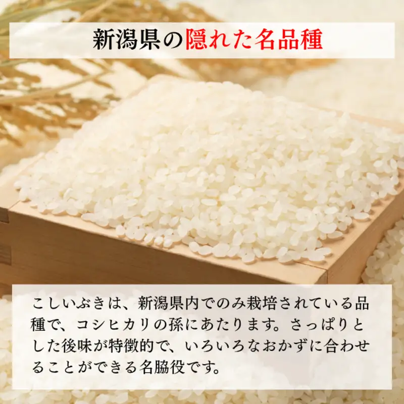 令和8年産 新潟県上越産 こしいぶき 20kg 20キロ（5kg×4）【玄米】 新米 おおた農場 上越市